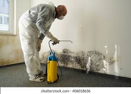 Trusted Platteville, CO Mold Remediation Experts